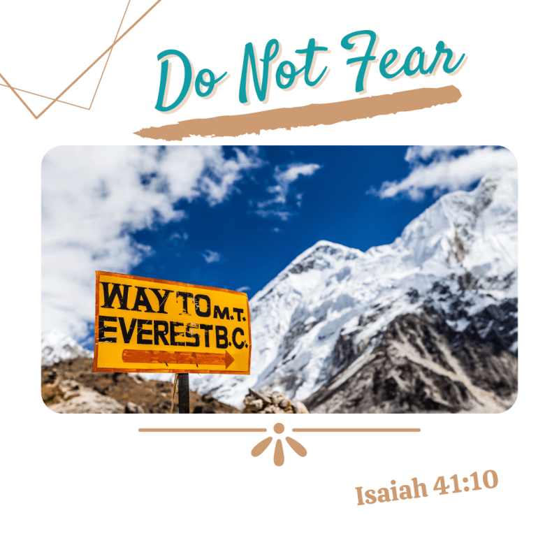 A Rescue From&nbsp;Fear