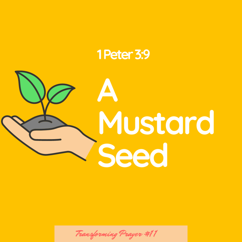 A Mustard Seed
