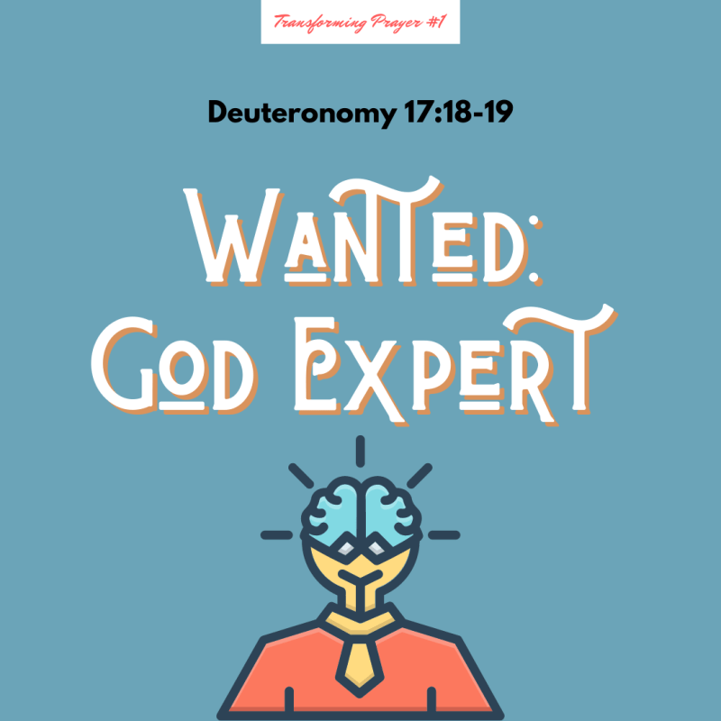 Wanted: God Expert