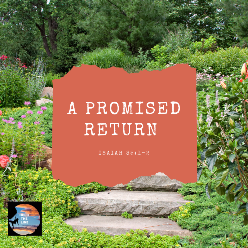 A Promised Return