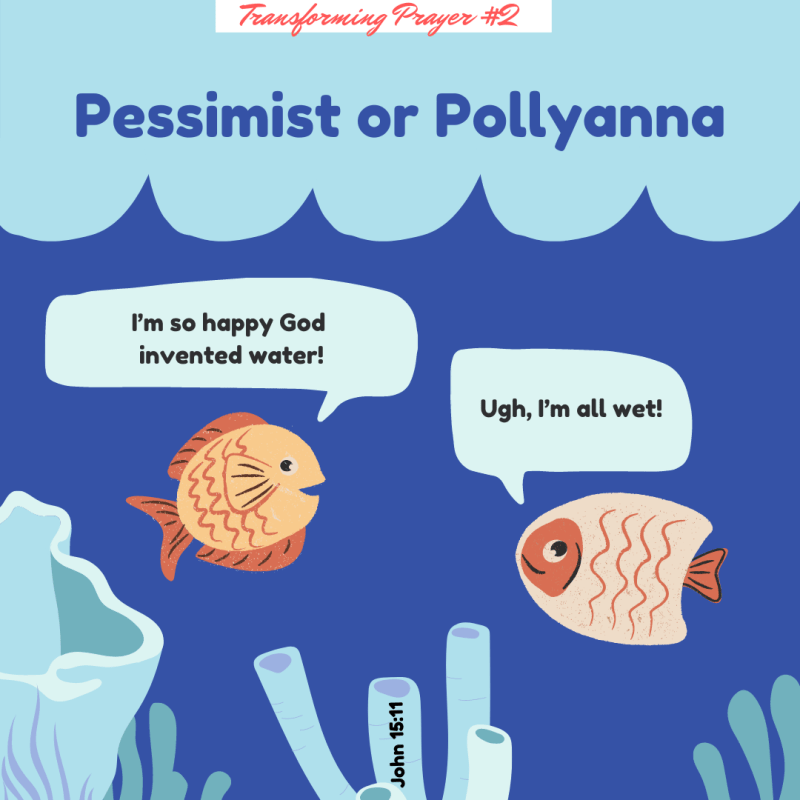 Pessimist or Pollyanna?
