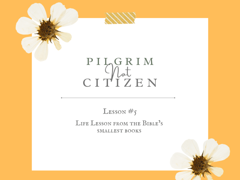 Pilgrim Not Citizen