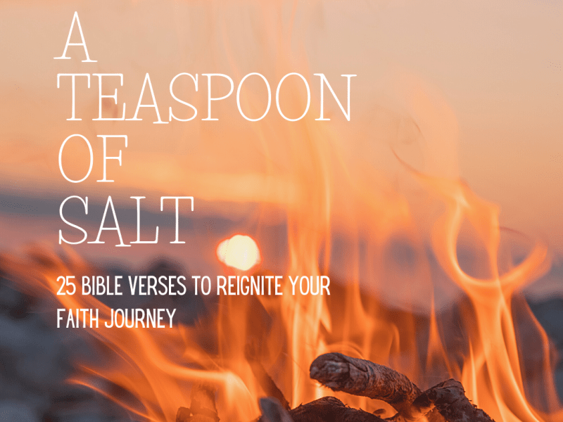 A Teaspoon of&nbsp;Salt