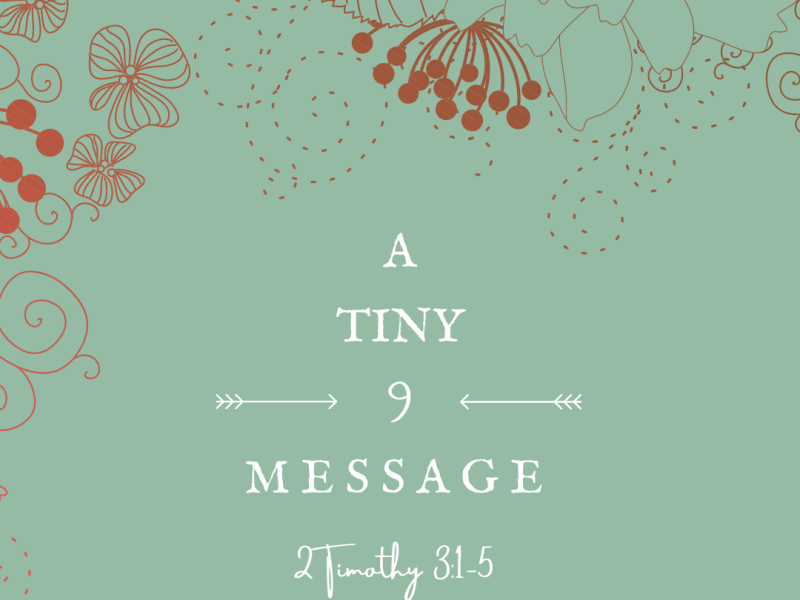 A Tiny Message&nbsp;#9