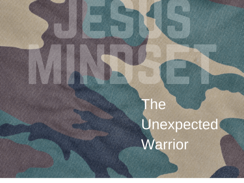 The Unexpected Warrior