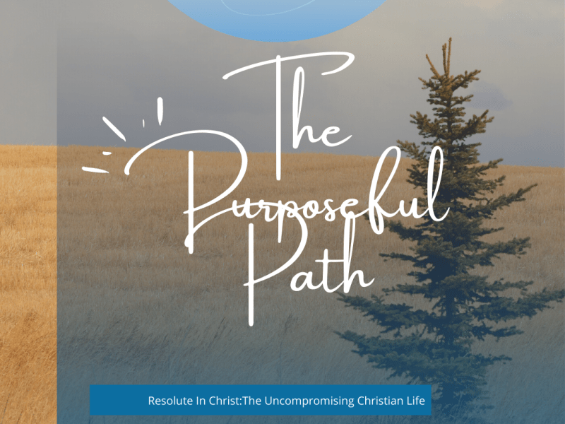 The Purposeful Path