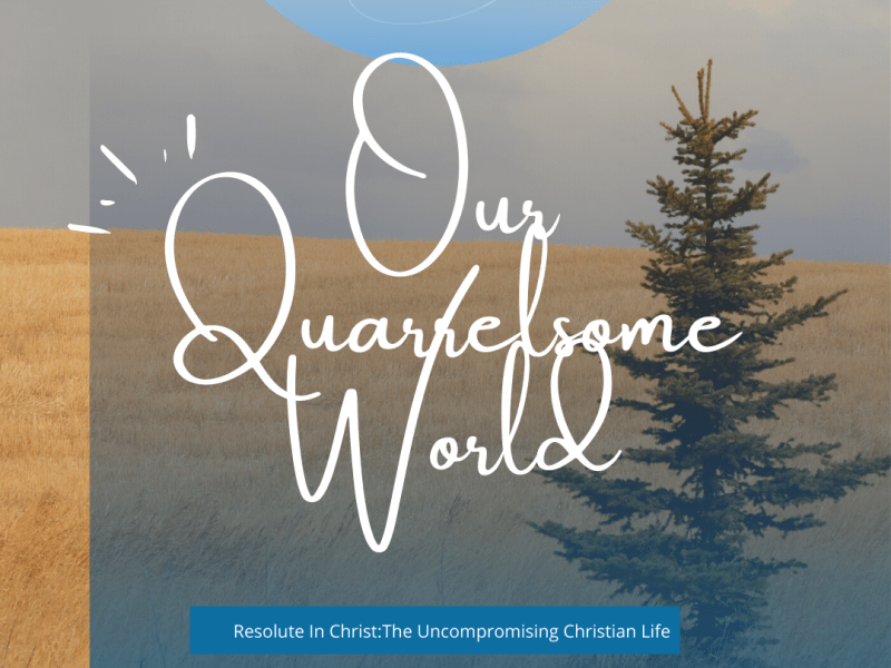 Our Quarrelsome World