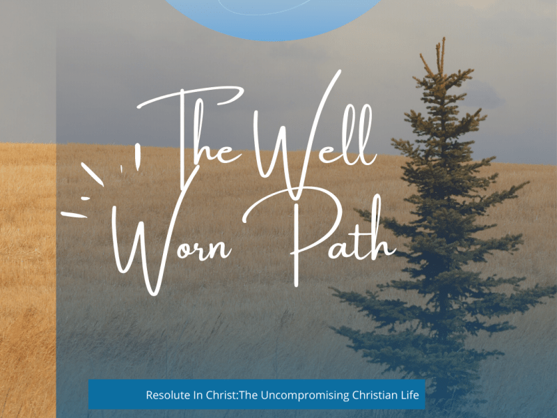 The Well-Worn Path