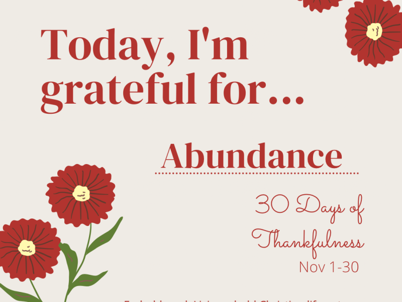 Abundance