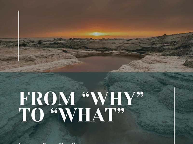 From Why? to&nbsp;What?