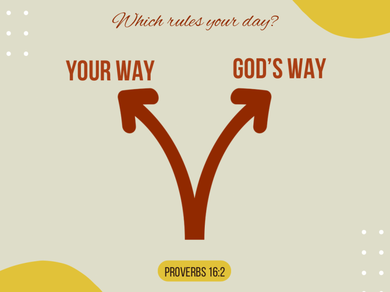 Who Rules Your&nbsp;Day?