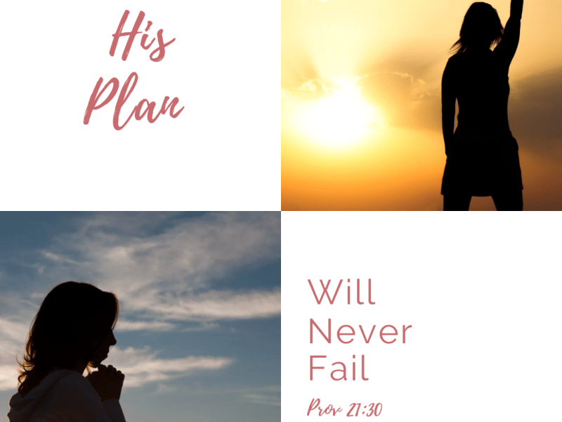 His Plan Won’t&nbsp;Fail