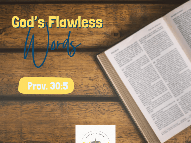 God’s Flawless Words