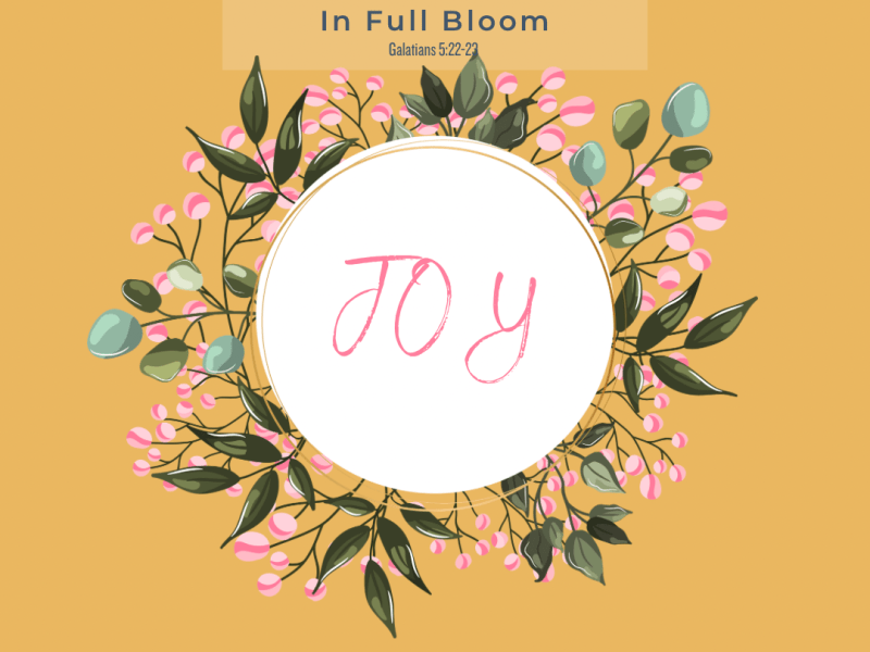 Fruit of the Spirit:&nbsp;Joy