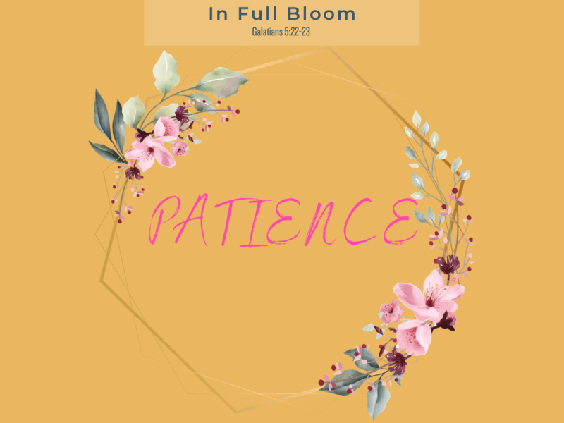 Fruit of the Spirit:&nbsp;Patience