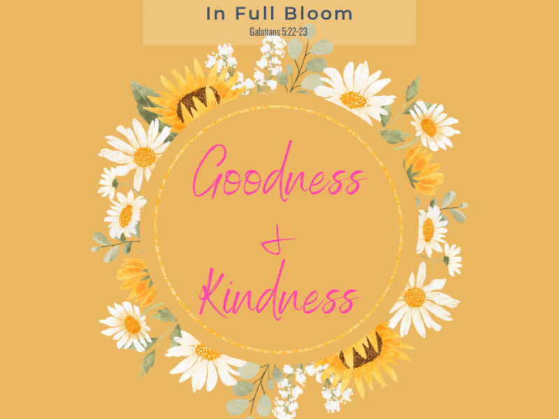 Fruit of the Spirit: Goodness &&nbsp;Kindness
