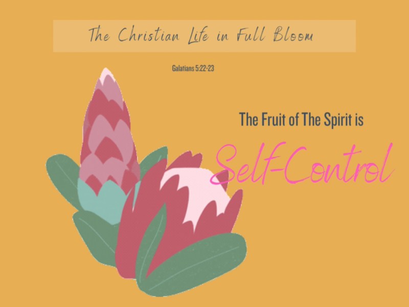 Fruit of the Spirit:&nbsp;Self-Control
