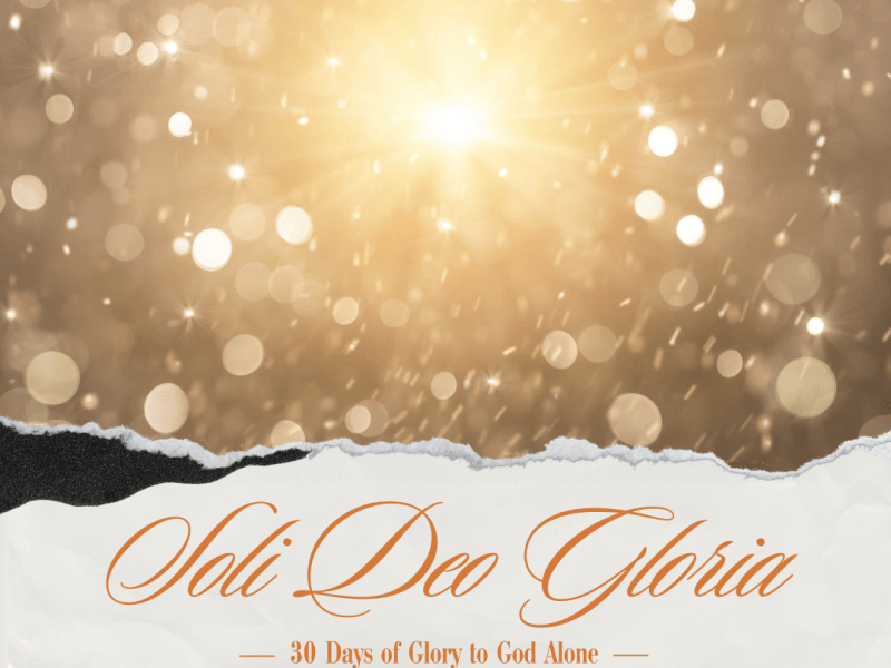 Lights of the&nbsp;World