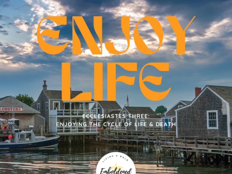 Enjoying the Cycle of Life &&nbsp;Death