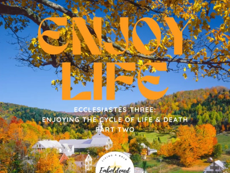 Enjoying The Cycle Part&nbsp;Two