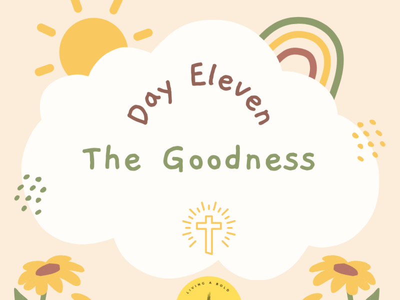 Day 11 The&nbsp;Goodness