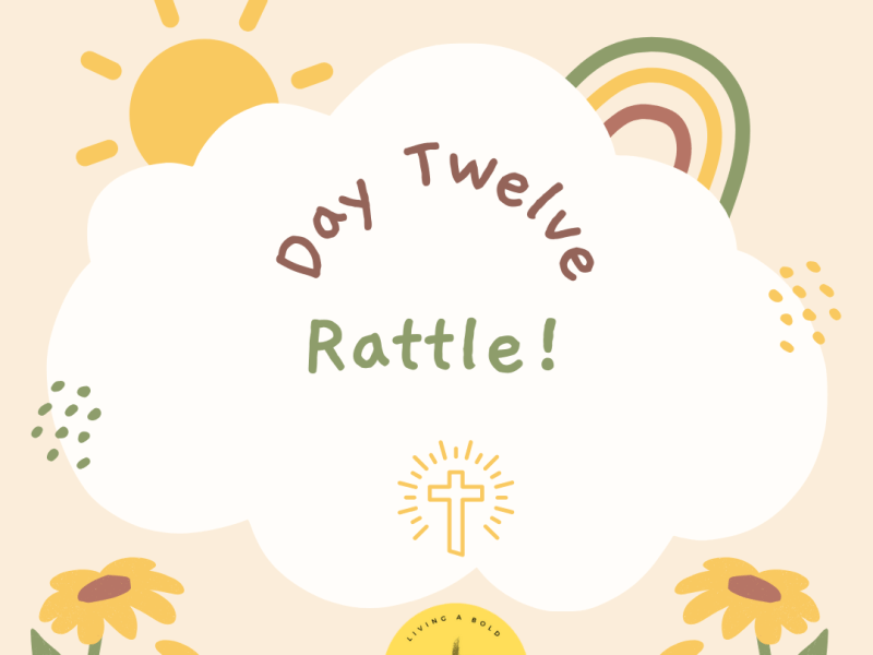 Day 12 Rattle!