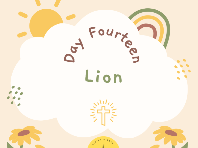 Day 14 Lion