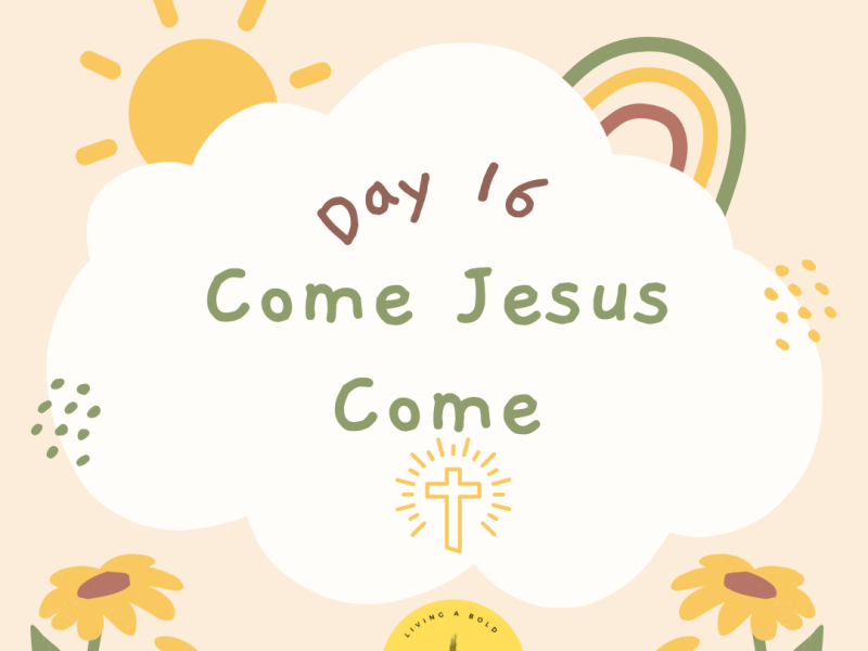 Day 16 Come Jesus&nbsp;Come