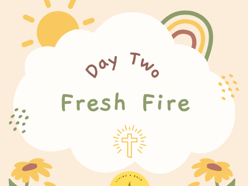 Day 2 Fresh&nbsp;Fire