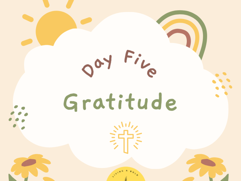 Day 5 Gratitude