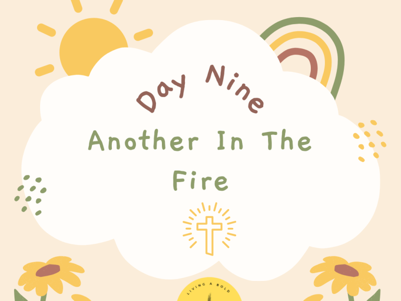 Day 9 Another In The&nbsp;Fire